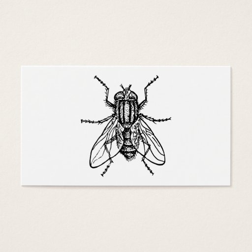 Customizable House Fly Business Card