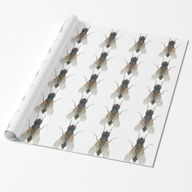 house fly . wrapping paper (Unrolled)
