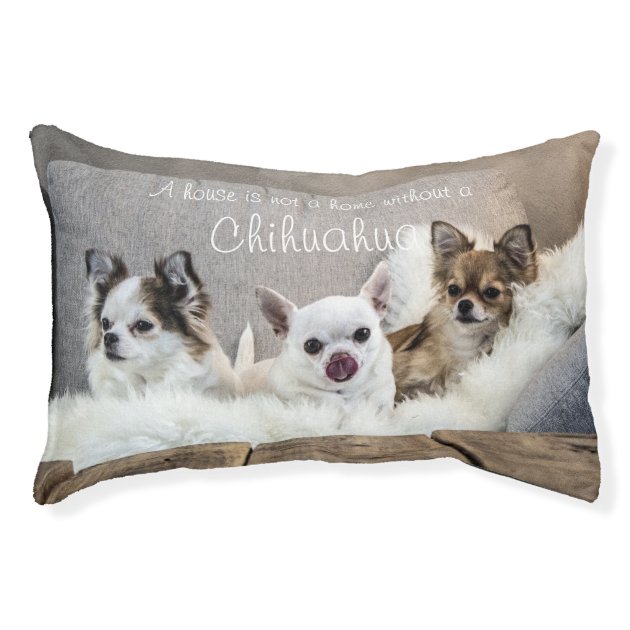 chihuahua dog bed