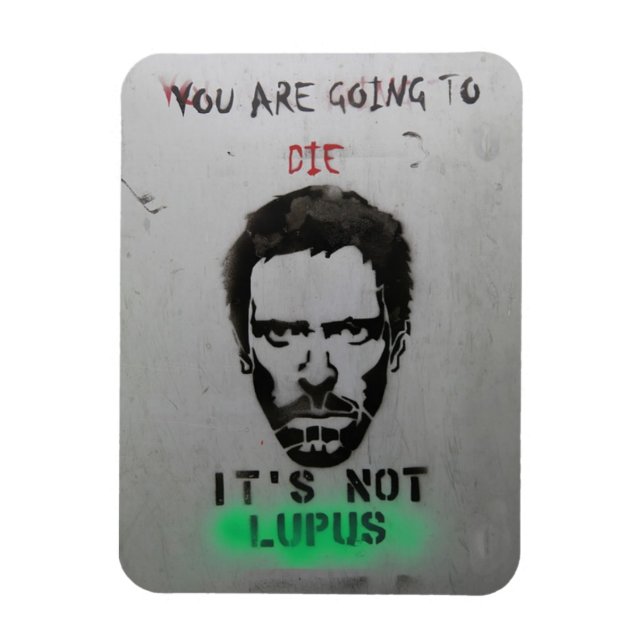 House lupus magnet (Vertical)