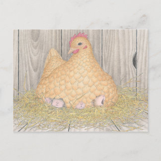 House-Mouse Designs® Postcard