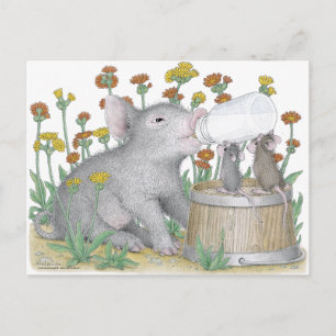 House-Mouse Designs® Postcard