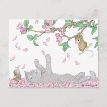 House-mouse Designs® Postcard by HouseMouseDesigns at Zazzle