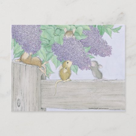 House-mouse Designs® Postcard