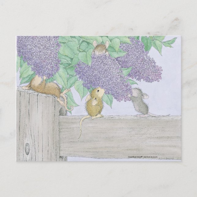 House-Mouse Designs® Postcard (Front)