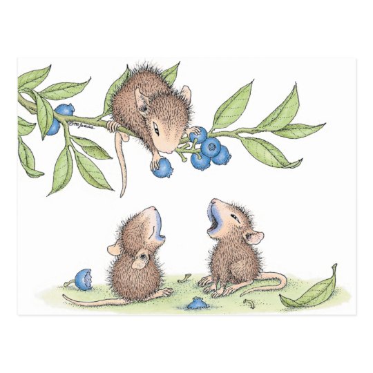 House-Mouse Designs® - Postcards | Zazzle.com