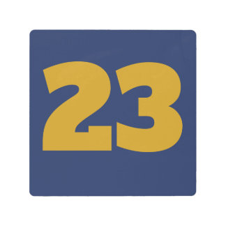 House Numbers on Metal, edit text, Metal Print