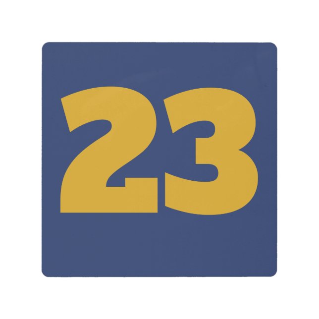 House Numbers on Metal, edit text, Metal Print (Front)