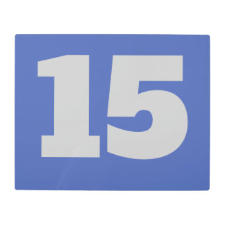 House Numbers on Metal, edit text, Metal Print