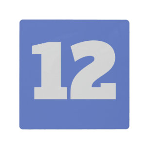 House Numbers on Metal, edit text, Metal Print