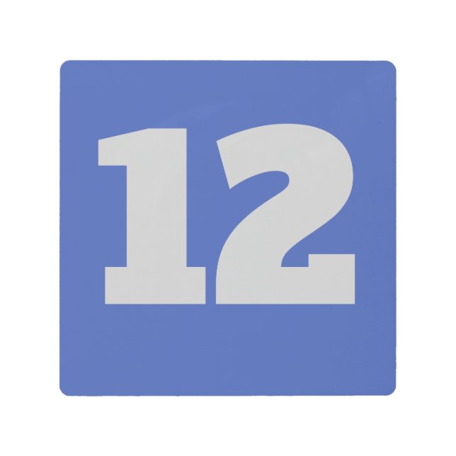 House Numbers on Metal, edit text, Metal Print (Front)