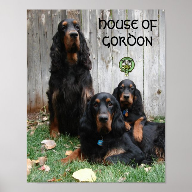 HOUSE OF GORDON Gordon Setter Generations Poster (Front)