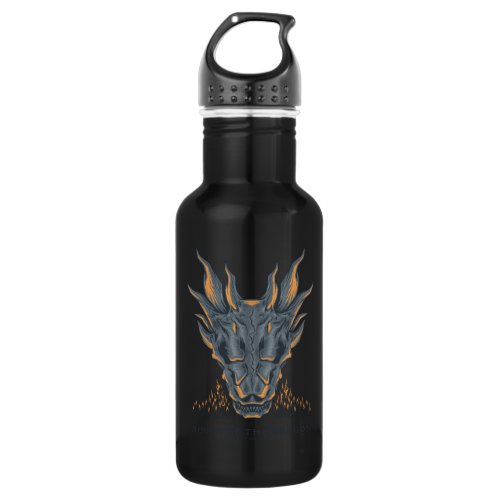 HOUSE OF THE DRAGON  Balerion Candle Altar Stainless Steel Water Bottle