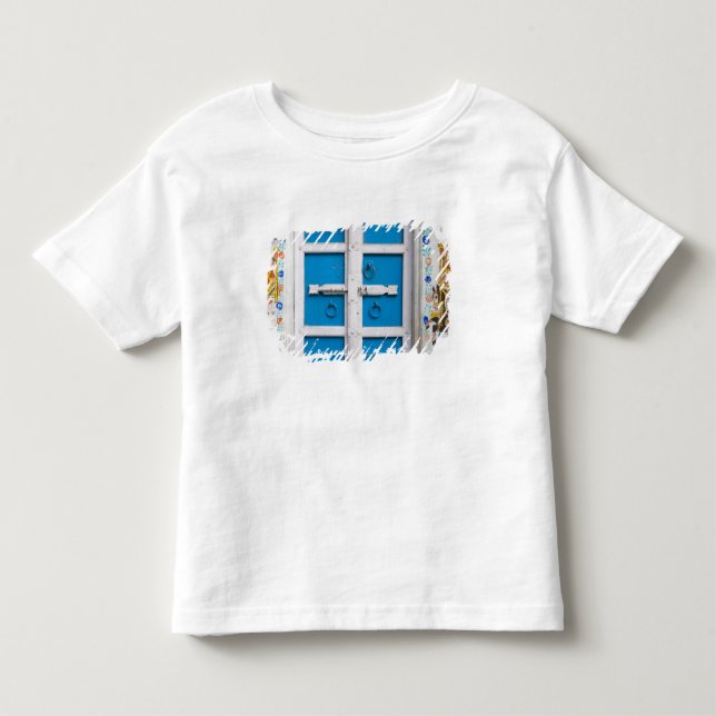 House painted blue, Udaipur, Rajasthan, India Toddler T-shirt (Front)