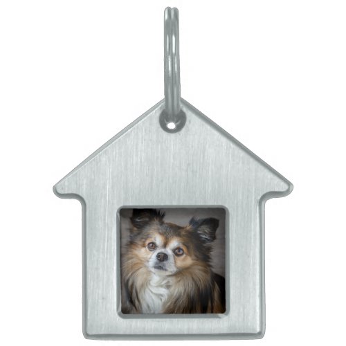 House Pet Tag