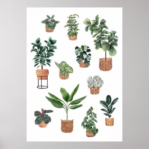 House Plant Collection 3 Poster