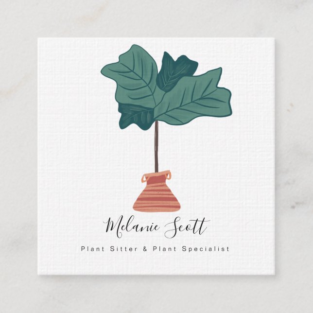 House Plant Gardener Botanical Fiddle Leaf Square Business Card (Front)
