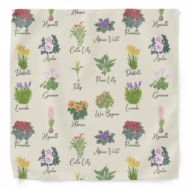 House Plants and their Names - Cute Minimal Modern Bandana (Front)
