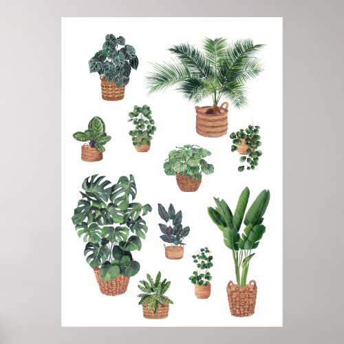 House Plants Collection 4 Poster