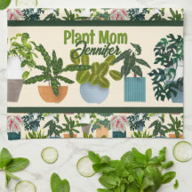 House Plants