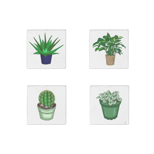 House plants Succulents, Peace Lily Cacti  Stone Magnet (Front)