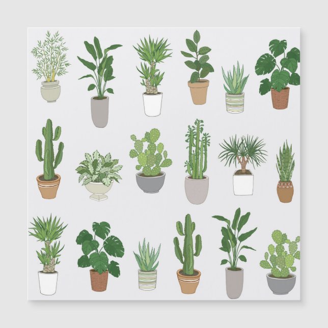 House plants, vintage doodle pattern (Front)