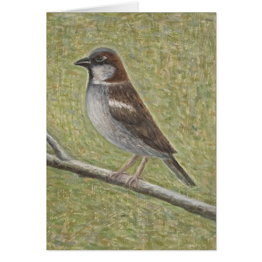 House Sparrow 2008 Cards (Front)