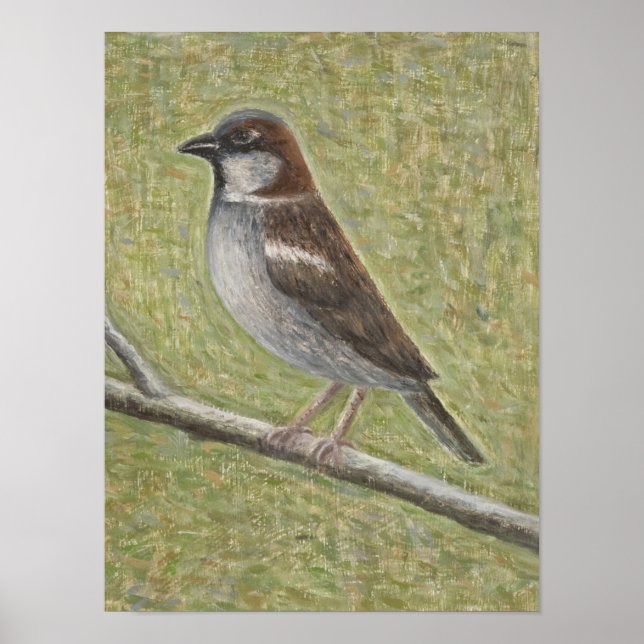 House Sparrow 2008 Poster (Front)