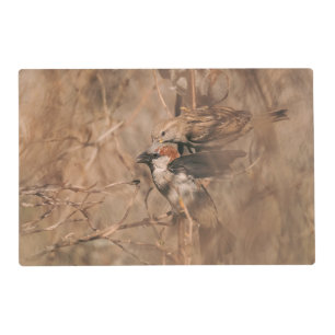 House Sparrow Birds Rustic Nature Photography Placemat
