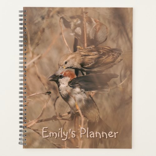House Sparrow Birds Wildlife Photography With Name Planner