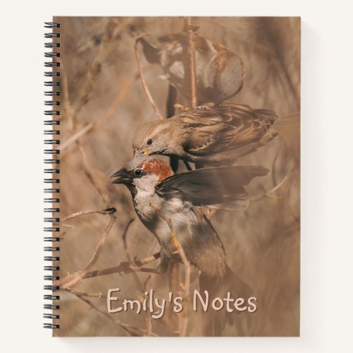 House Sparrow Birds Wildlife Photography With Text Notebook