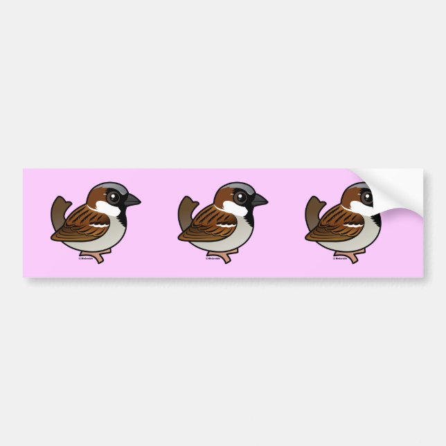 House Sparrow Bumper Sticker (Front)