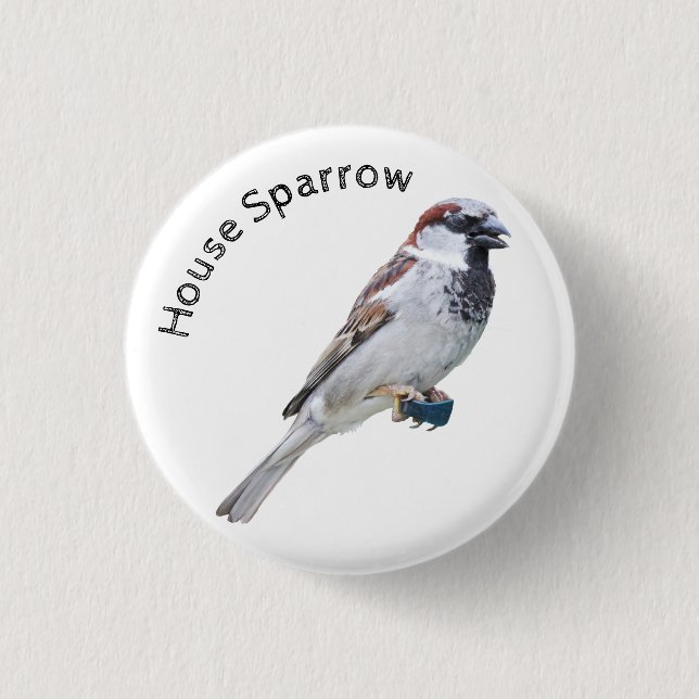 House Sparrow Button (Front)