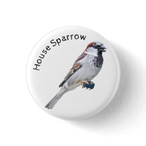 House Sparrow Button