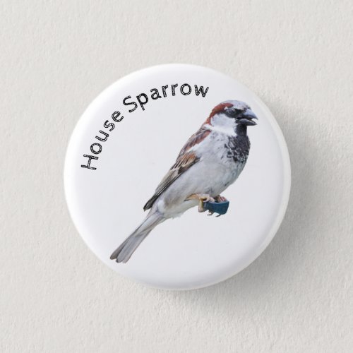 House Sparrow Button