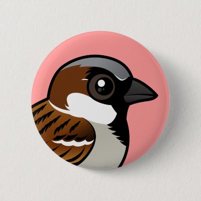 House Sparrow Button