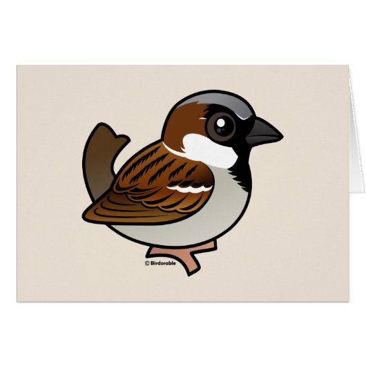 House Sparrow Cards (Front Horizontal)