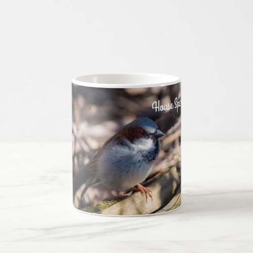 House Sparrow Coffee Mug