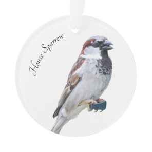 House Sparrow Ornament