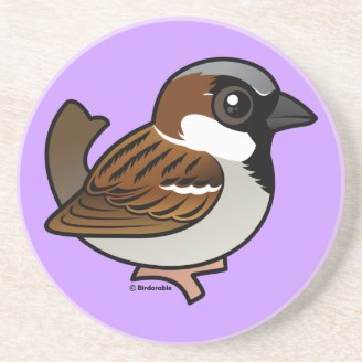 House Sparrow Sandstone Drink Coaster