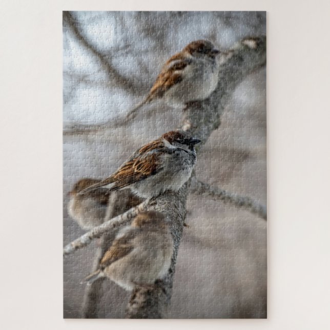 House Sparrows On Branch Jigsaw Puzzle (Vertical)