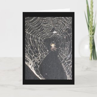 House Spider Greeting Card