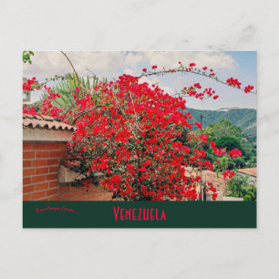 House With Flowers Caracas Venezuela Postcard