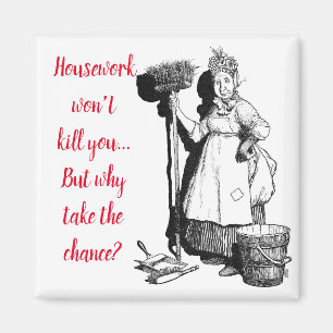 "House-work won't kill you" Magnet