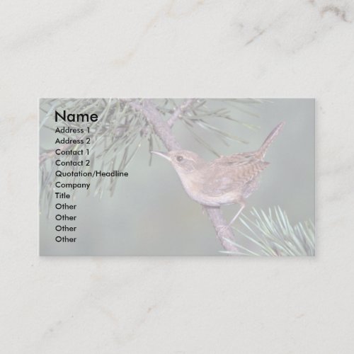 House Wren Business Card Templates