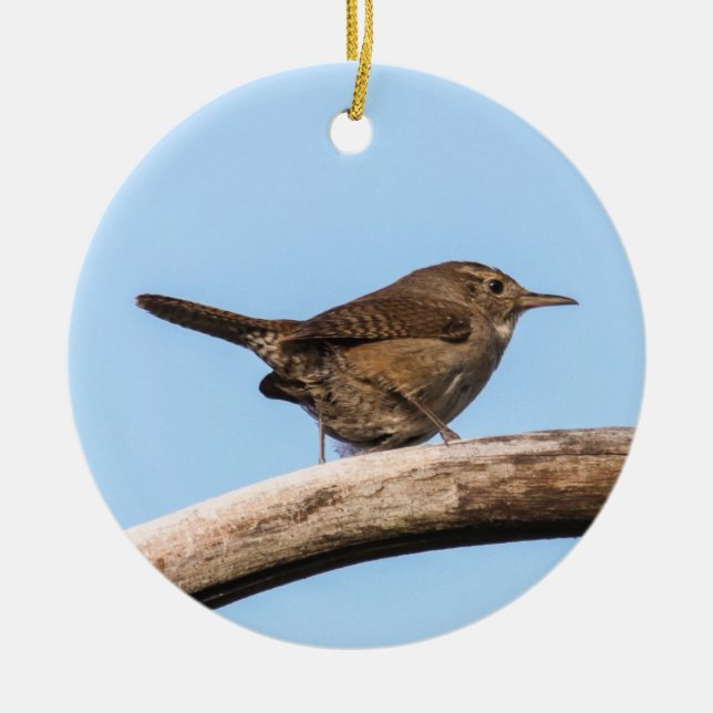 House Wren Ceramic Ornament (Front)