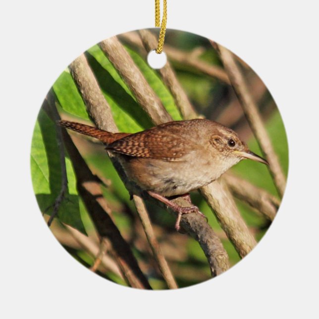 House Wren Ornament (Front)