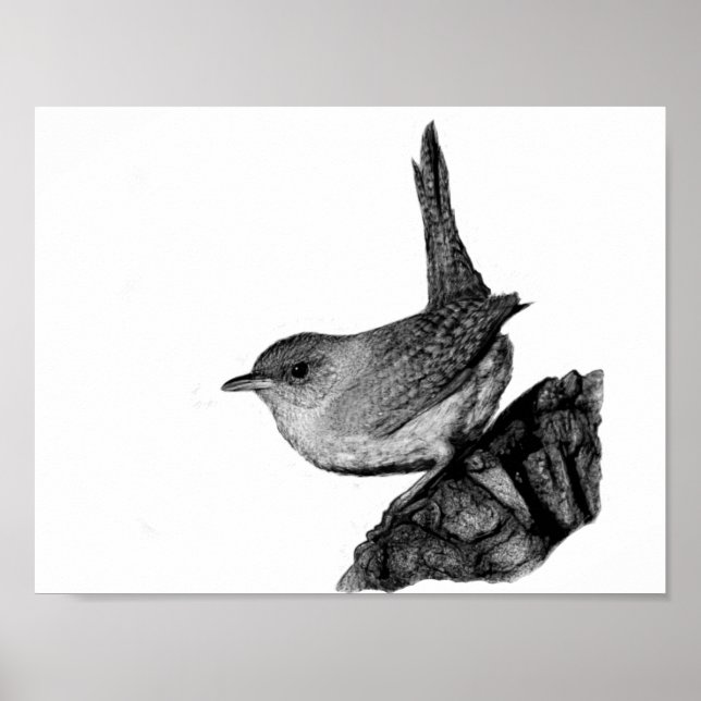 House Wren Poster (Front)