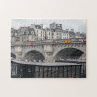 Houseboat near Pont Neuf - Paris, France
