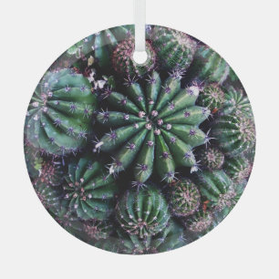 Houseplant Cactus: Nursery Beautiful Design Glass Ornament